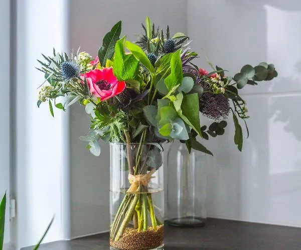 Appartement Picardie